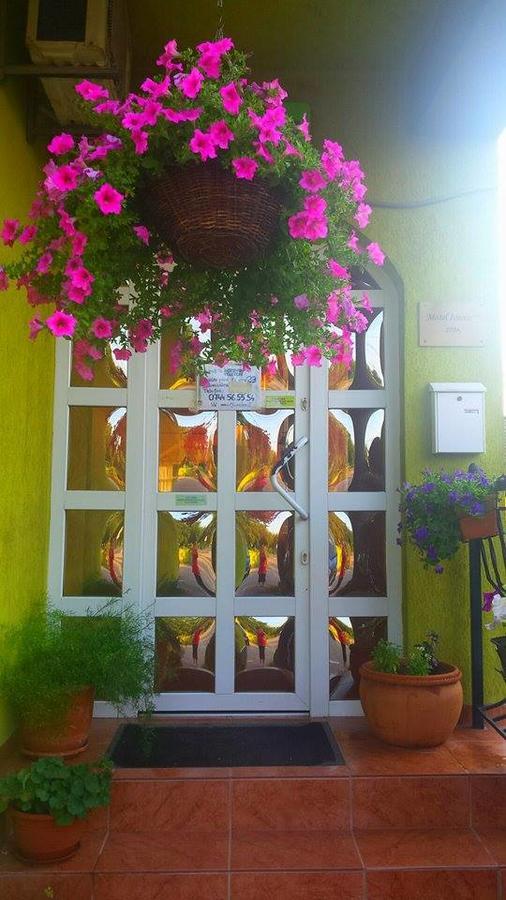 Motel Ioanis Mondorlak Kültér fotó